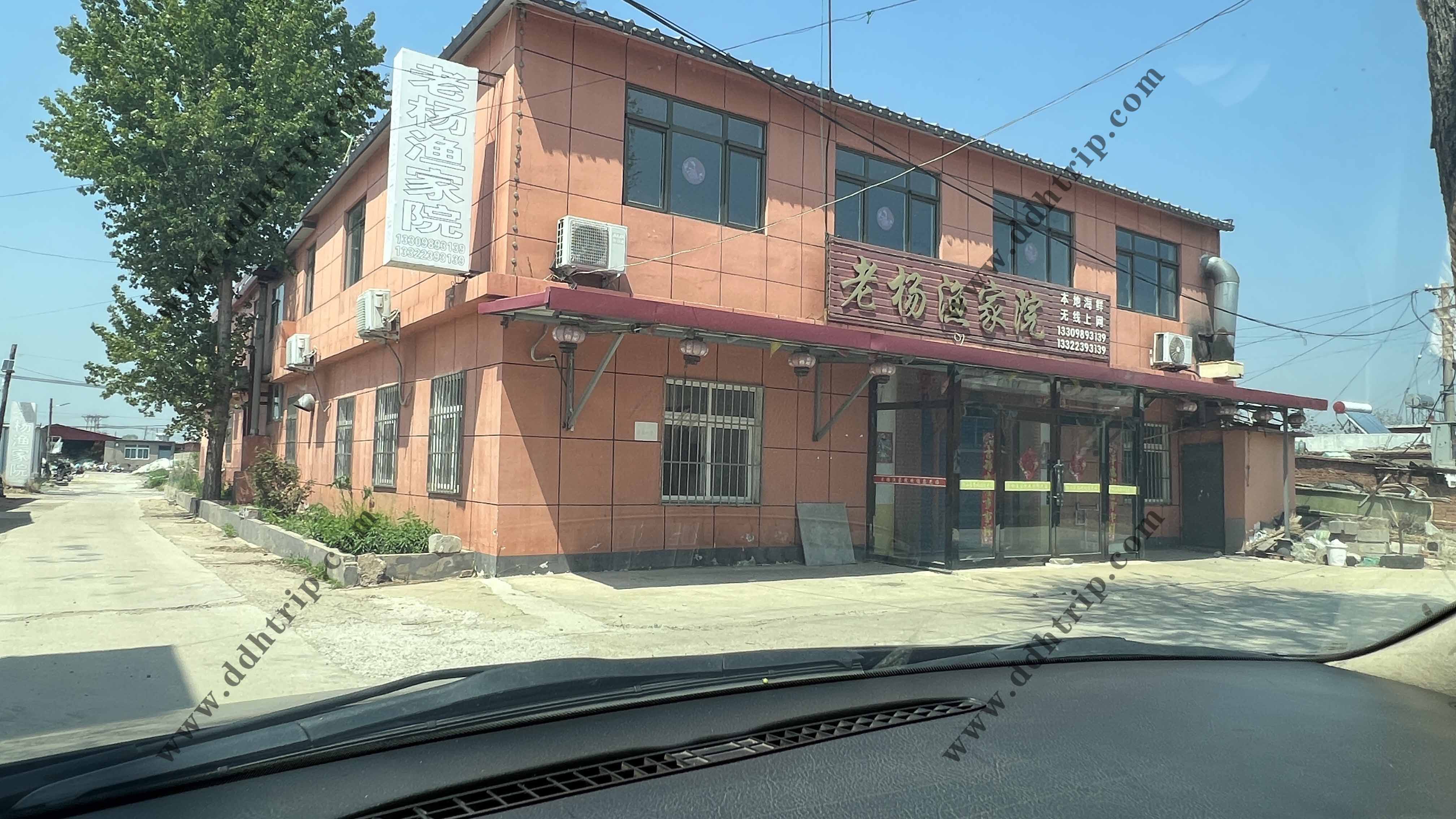东戴河老杨渔家院--13309893139