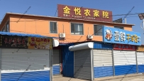 东戴河金悦农家院--13470609335