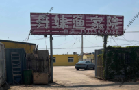 东戴河丹妹渔家院--13133526365